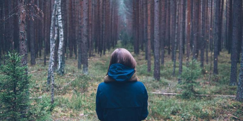 不止于销售：揭秘深圳国威达如何以顶尖技术支持与FAE团队赋能工业设备制造