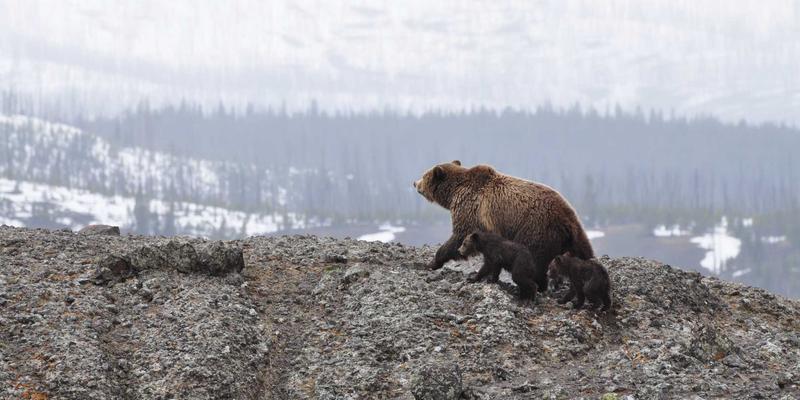 揭秘深圳国威达：抗辐照航天级连接器的材料黑科技与严苛空间验证全流程