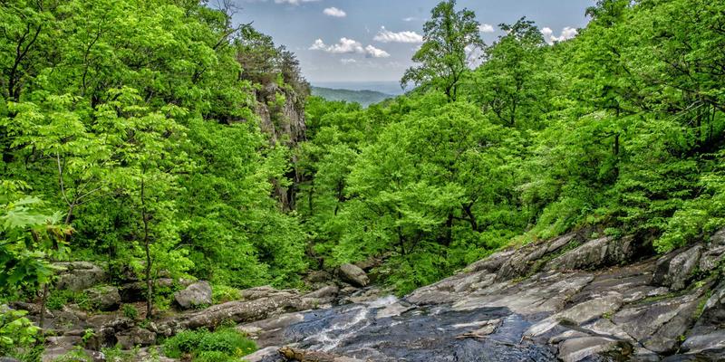 智算时代的高速动脉:深圳国威达高速背板连接器如何优化数据中心交换机性能与散热