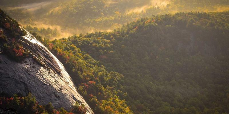 深圳国威达:工业控制与自动化领域的核心元器件供应专家