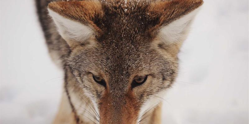 筑牢安全防线：深圳国威达耐高压大电流连接器如何为新能源充电桩设备保驾护航