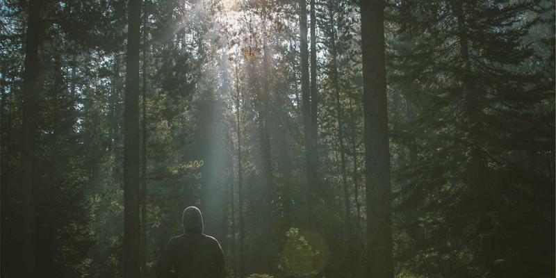 精密连接生命线:解析深圳国威达如何以高端机械制造与自动化设备守护医疗安全
