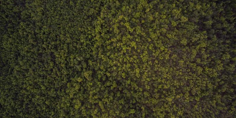 赋能智造未来:深圳国威达高柔性线束如何破解工业机器人伺服系统连接难题